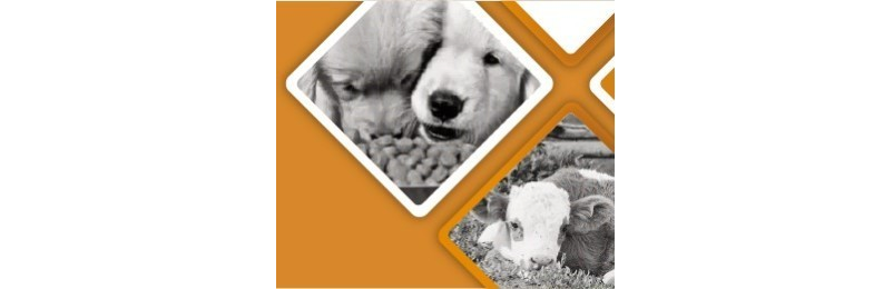 Nutrición Animal